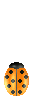 insects-free-animated-gifs-gameznet-040.gif