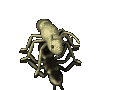 insects-free-animated-gifs-gameznet-041.gif