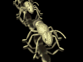 insects-free-animated-gifs-gameznet-049.gif