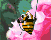 insects-free-animated-gifs-gameznet-056.gif