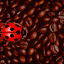 insects-free-animated-gifs-gameznet-06.gif