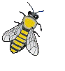 insects-free-animated-gifs-gameznet-070.gif