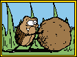 insects-free-animated-gifs-gameznet-073.gif