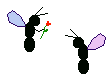 insects-free-animated-gifs-gameznet-075.gif