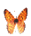insects-free-animated-gifs-gameznet-079.gif