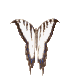 insects-free-animated-gifs-gameznet-080.gif