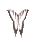 insects-free-animated-gifs-gameznet-081.gif
