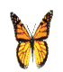 insects-free-animated-gifs-gameznet-082.gif