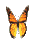 insects-free-animated-gifs-gameznet-083.gif