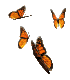 insects-free-animated-gifs-gameznet-086.gif