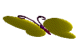 insects-free-animated-gifs-gameznet-090.gif