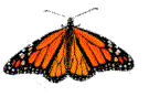 insects-free-animated-gifs-gameznet-091.gif