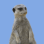 meerkat-free-animated-gifs-gameznet-01.gif