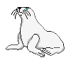 seal-free-animated-gifs-gameznet-07.gif
