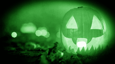 halloween-celebrations-animated-gifs-gameznet-00094.gif