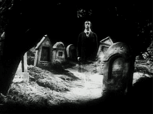 halloween-celebrations-animated-gifs-gameznet-241.gif