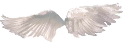 5651918-transparent-angel-wings-tumblr-angel-wings-transparent-500_189_preview.png