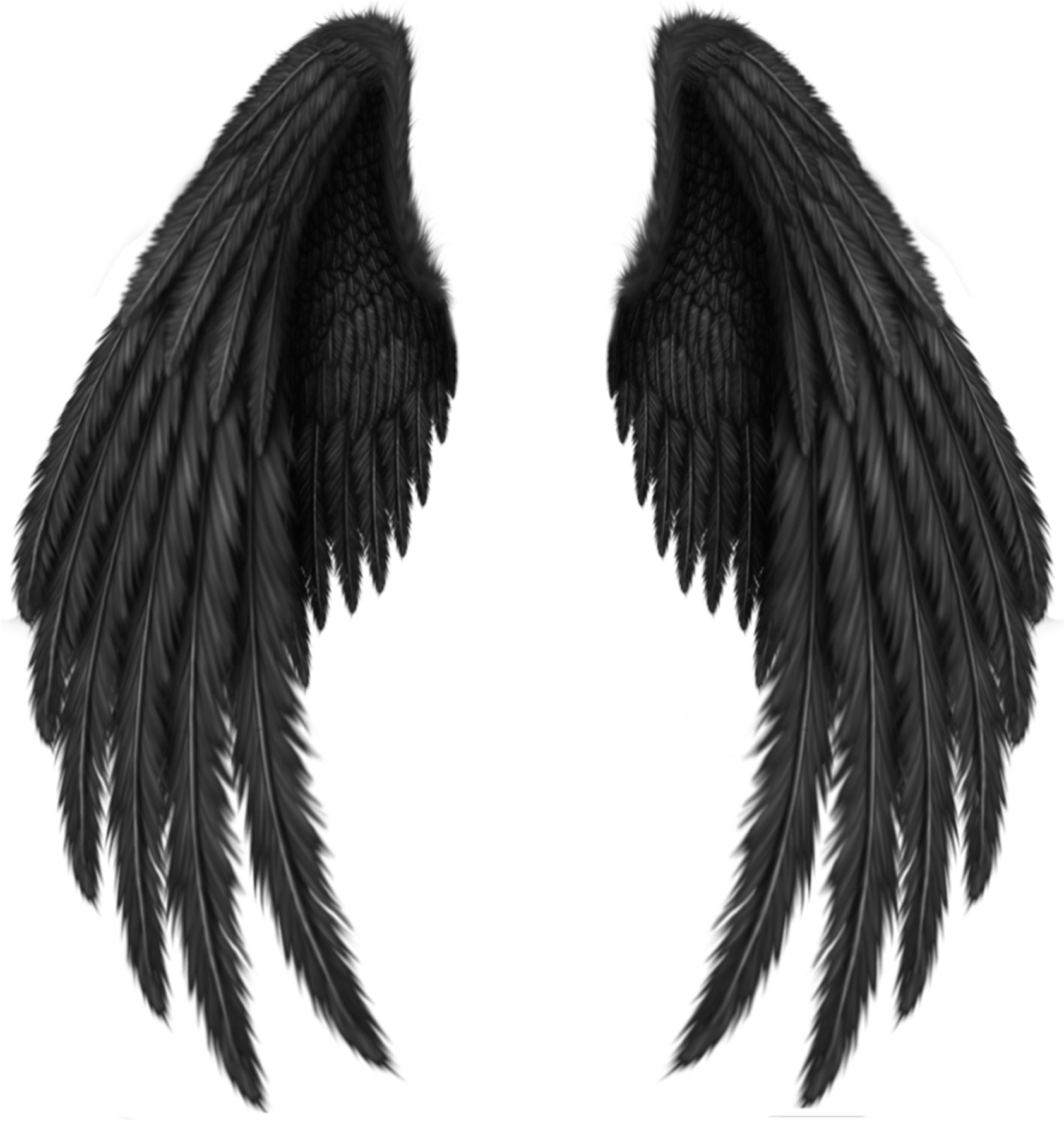 angel-wings-black-transparent-background-gameznet-03.png