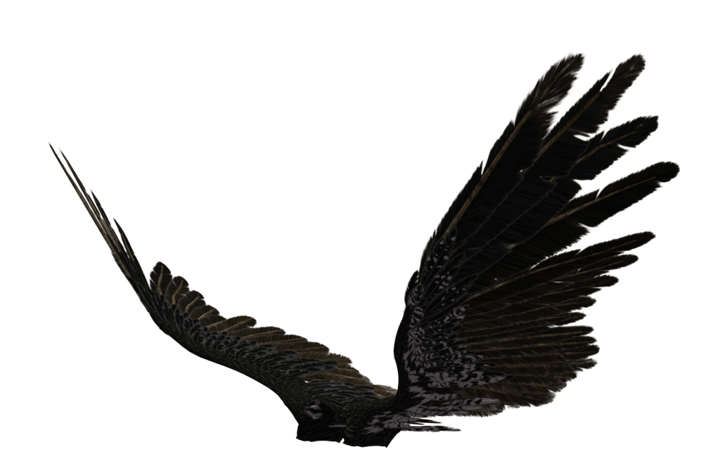 angel-wings-black-transparent-background-gameznet-21.png