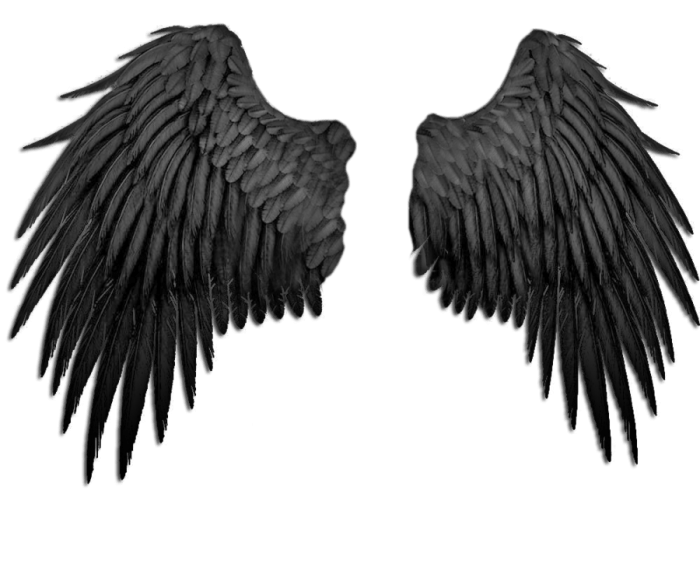 angel-wings-black-transparent-background-gameznet-22.png