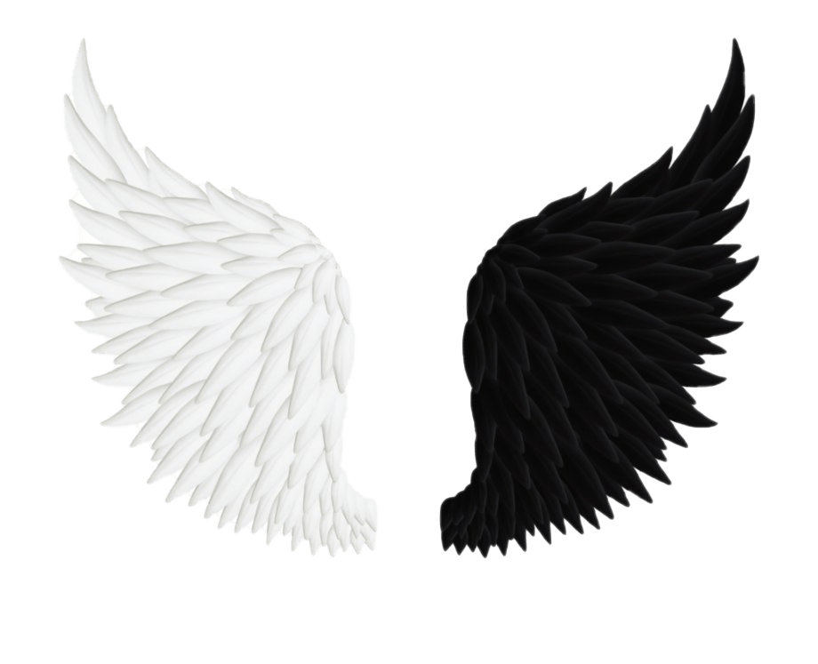 angel-wings-black-white-transparent-background-gameznet-01.png