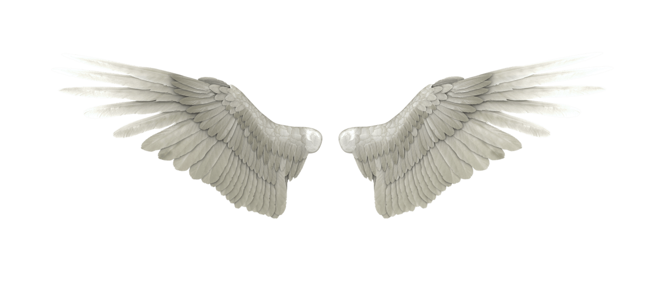 angel-wings-transparent-background-gameznet-03.png