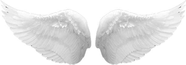 angel-wings-transparent-background-gameznet-05.png