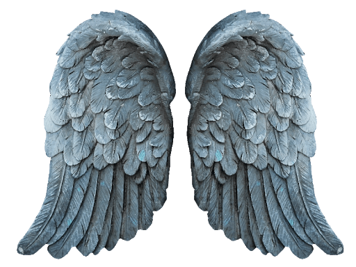 angel-wings-transparent-background-gameznet-06.png
