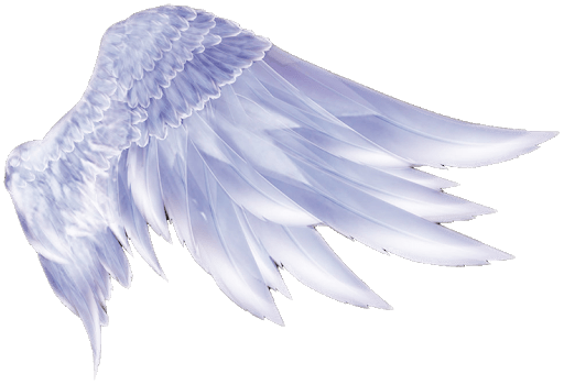 angel-wings-transparent-background-gameznet-07.png