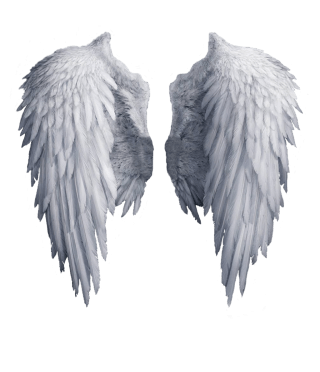 angel-wings-transparent-background-gameznet-09.png