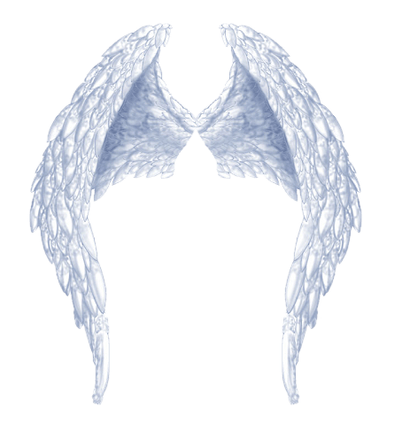 angel-wings-transparent-background-gameznet-15.png