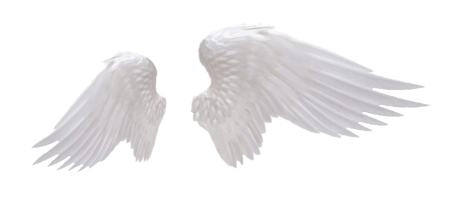 angel-wings-transparent-background-gameznet-18.png