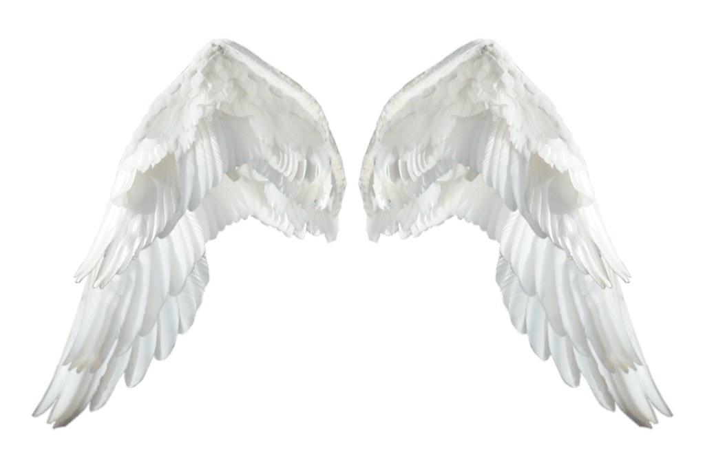 angel-wings-transparent-background-gameznet-19.png