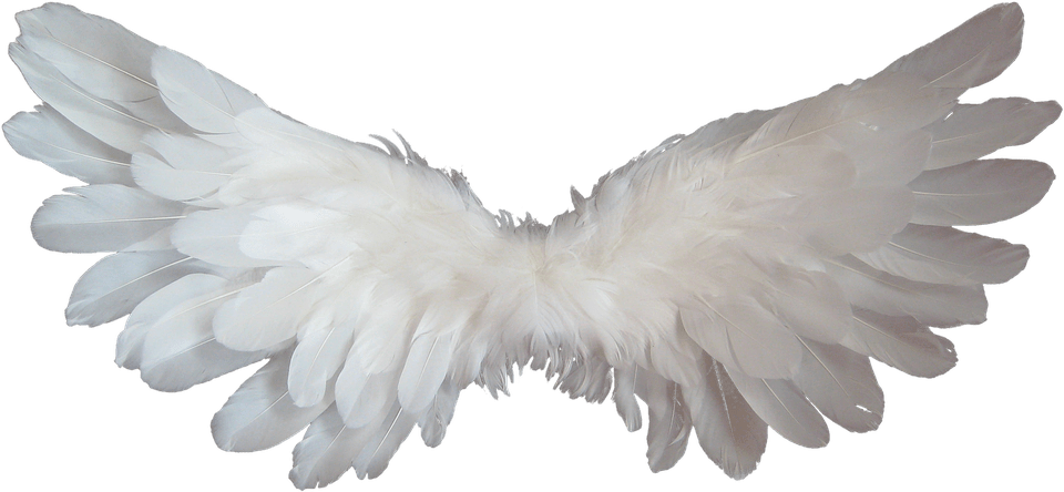 angel-wings-transparent-background-gameznet-21.png