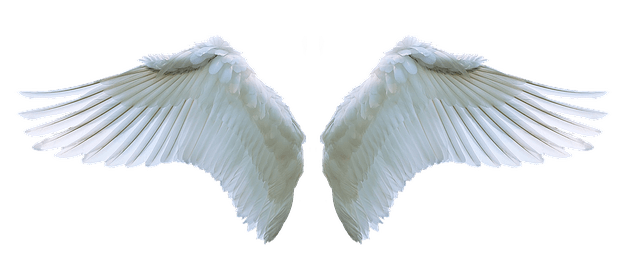 angel-wings-transparent-background-gameznet-26.png