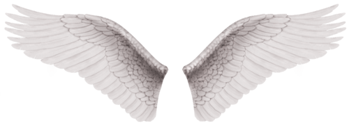 angel-wings-transparent-background-gameznet-27.png
