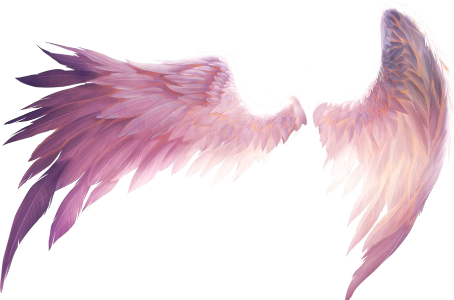 angel-wings-transparent-background-gameznet-28.png
