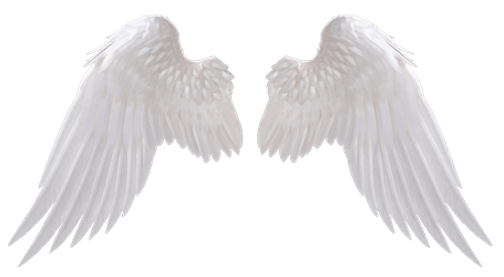 angel_wings_by_hz_designs_daiw3gs-250t.png