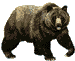 gameznet-animated-bear-023.gif
