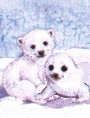 gameznet-animated-polar-bears.gif