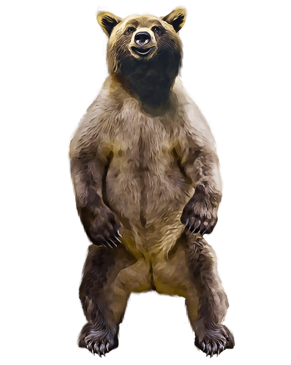 grizzly-bear-transparent-background-gameznet-02.png