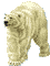 polar-bear-transparent-background-gameznet-01.gif