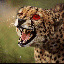 big-cats-leopard-animated-gameznet-02.gif