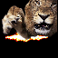 big-cats-lion-animated-gameznet-01.gif