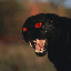 big-cats-panther-v2-animated-gameznet-02.gif