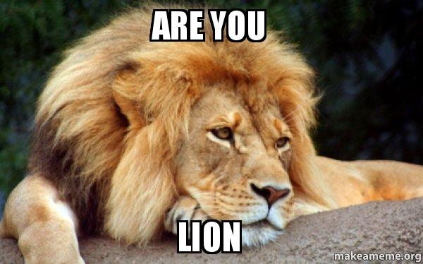 big-cat-memes-gameznet-are-you-lion-00056.jpg
