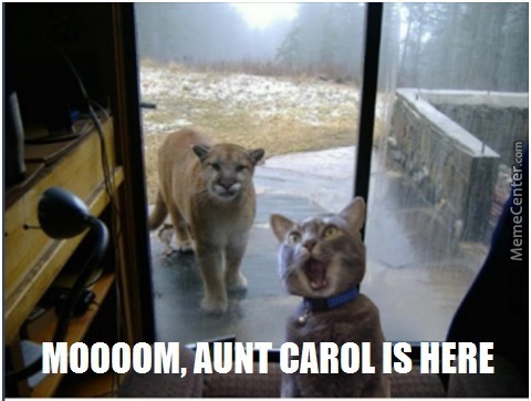 big-cat-memes-gameznet-mountain-lion-visiting-cat.jpg
