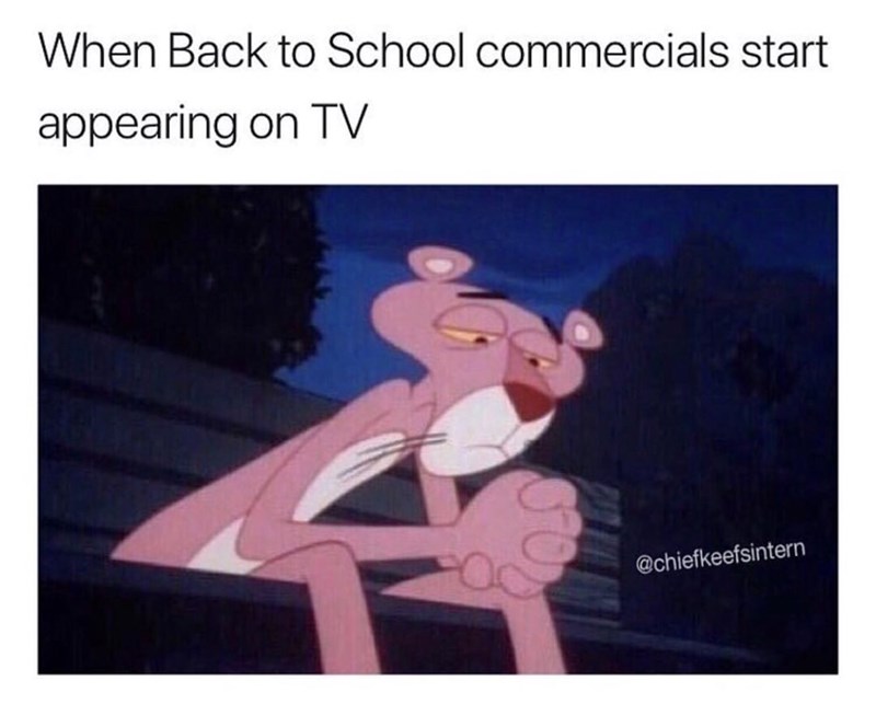 big-cat-memes-gameznet-pink-panther-back-to-school-commercials.jpeg