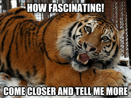 how-fascinating-come-closer-and-tellme-more-fascinated-tiger-meme-gameznet-01.png