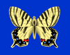 gameznet-animated-butterflies-068.gif